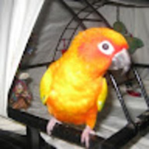 Meet your Posher, Mary